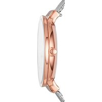 Наручные часы Skagen SKW2616 - Превью изображения №6 — Интернет-магазин ПроЗаказ