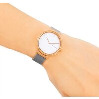 Наручные часы Skagen SKW2616 - Превью изображения №8 — Интернет-магазин ПроЗаказ
