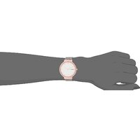 Наручные часы Skagen SKW2616 - Превью изображения №7 — Интернет-магазин ПроЗаказ
