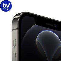 Смартфон Apple iPhone 12 Pro 256GB Восстановленный by Breezy, грейд B (графитовый) - Превью изображения №2 — Интернет-магазин ПроЗаказ