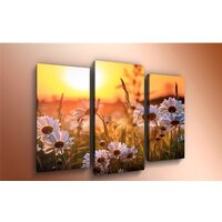 Arthata m-000451 120x80