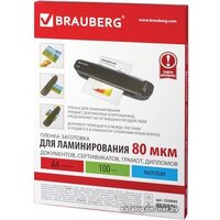 BRAUBERG A4 80 мкм 100 шт 530896 (матовый, прозрачный)