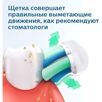 Электрическая зубная щетка Philips 1100 Series HX3641/11 - Превью изображения №12 — Интернет-магазин ПроЗаказ
