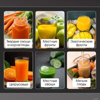 Соковыжималка Zigmund & Shtain EJ-756 - Превью изображения №7 — Интернет-магазин ПроЗаказ