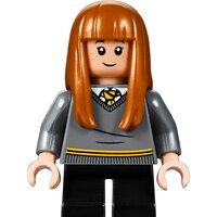 Конструктор LEGO Harry Potter 75954 Большой зал Хогвартса - Превью изображения №11 — Интернет-магазин ПроЗаказ