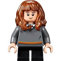 Конструктор LEGO Harry Potter 75954 Большой зал Хогвартса - Превью изображения №16 — Интернет-магазин ПроЗаказ