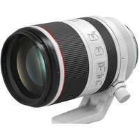 Объектив Canon RF 70-200mm F2.8L IS USM - Превью изображения №2 — Интернет-магазин ПроЗаказ