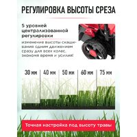 Газонокосилка Wortex CLM 3336 ALL1 (без АКБ) - Превью изображения №10 — Интернет-магазин ПроЗаказ