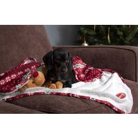 Коврик (подстилка) Scruffs с игрушкой 939342 (бело-красный) - Превью изображения №4 — Интернет-магазин ПроЗаказ