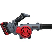 Ручная воздуходувка Profipower DWDUB-20V (с 1-им АКБ) - Превью изображения №5 — Интернет-магазин ПроЗаказ