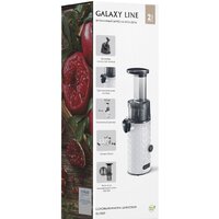 Соковыжималка Galaxy Line GL0807 - Превью изображения №10 — Интернет-магазин ПроЗаказ
