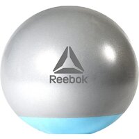 Reebok Gymball RAB-40015BL 55 см (серый/голубой)