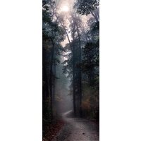 Stamprint Лесная тропа NT026 (125x50)
