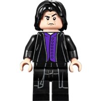 Конструктор LEGO Harry Potter 75953 Гремучая ива - Превью изображения №10 — Интернет-магазин ПроЗаказ