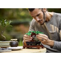 Конструктор LEGO Creator 10281 Бонсай - Превью изображения №19 — Интернет-магазин ПроЗаказ