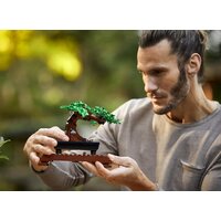 Конструктор LEGO Creator 10281 Бонсай - Превью изображения №18 — Интернет-магазин ПроЗаказ