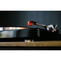 Виниловый проигрыватель Rekkord Audio M600 (без звукоснимателя, черный матовый) - Превью изображения №4 — Интернет-магазин ПроЗаказ