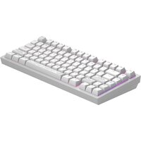 Клавиатура Dark Project ALU81A Terra Nostra White (g3ms Moonstone) - Превью изображения №8 — Интернет-магазин ПроЗаказ