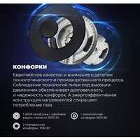 Варочная панель DeLonghi BF 46 PRO RUS - Превью изображения №6 — Интернет-магазин ПроЗаказ