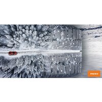 Зимние шины Pace Antarctica Ice 215/55R17 94T (шипы) - Превью изображения №2 — Интернет-магазин ПроЗаказ