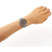 Наручные часы Skagen SKW6387 - Превью изображения №3 — Интернет-магазин ПроЗаказ