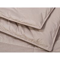 Одеяло АртПостель Camel облегченное 200x215 2176 - Превью изображения №3 — Интернет-магазин ПроЗаказ