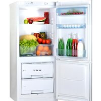 Холодильник POZIS RK-101 (белый) - Превью изображения №2 — Интернет-магазин ПроЗаказ