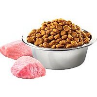 Корм для собак Farmina N&D Grain Free Pumpkin Lamb & Blueberry Adult Mini (7кг) - Превью изображения №2 — Интернет-магазин ПроЗаказ