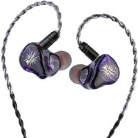 Kiwi Ears Quartet