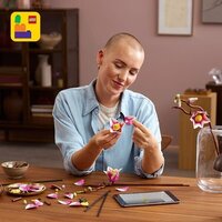 Конструктор LEGO Botanicals 11510 Ветви магнолии - Превью изображения №9 — Интернет-магазин ПроЗаказ