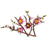 Конструктор LEGO Botanicals 11510 Ветви магнолии - Превью изображения №2 — Интернет-магазин ПроЗаказ