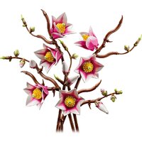 Конструктор LEGO Botanicals 11510 Ветви магнолии - Превью изображения №3 — Интернет-магазин ПроЗаказ
