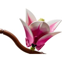 Конструктор LEGO Botanicals 11510 Ветви магнолии - Превью изображения №7 — Интернет-магазин ПроЗаказ