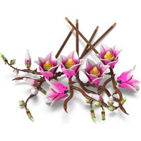 Конструктор LEGO Botanicals 11510 Ветви магнолии - Превью изображения №4 — Интернет-магазин ПроЗаказ