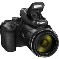 Фотоаппарат Nikon Coolpix P950 (черный) - Превью изображения №9 — Интернет-магазин ПроЗаказ