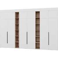 Рэйгрупп Рэй S245-В18-1-EBЕ В18-1 (дуб элисон/белый премиум)