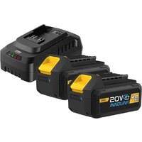 Аккумулятор с зарядным устройством Deli EDL-CM20A4E (20В/2x4 Ah + 20В) - Превью изображения №1 — Интернет-магазин ПроЗаказ