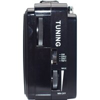 Радиоприемник Miru SR-1021 - Превью изображения №4 — Интернет-магазин ПроЗаказ