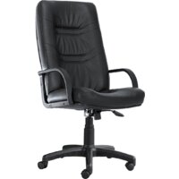 Белс Министр PLN SP 400149-01/SPA (натуральная кожа, черный)