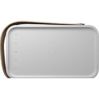 Беспроводная колонка Bang & Olufsen Beolit 20 (серый) - Превью изображения №6 — Интернет-магазин ПроЗаказ
