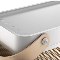 Беспроводная колонка Bang & Olufsen Beolit 20 (серый) - Превью изображения №10 — Интернет-магазин ПроЗаказ