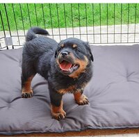 Манеж Ferplast Dog training 73300025 - Превью изображения №5 — Интернет-магазин ПроЗаказ