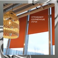 Рулонные шторы Franc Gardiner Blackout Silver 200x175 7794915 (оранжевый) - Превью изображения №4 — Интернет-магазин ПроЗаказ