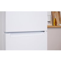 Холодильник Indesit DS 4200 W - Превью изображения №4 — Интернет-магазин ПроЗаказ