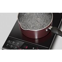 Настольная плита Redmond (Редмонд) RIC-4601 - Превью изображения №4 — Интернет-магазин ПроЗаказ