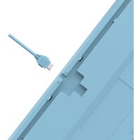 Клавиатура A4Tech Fstyler FS300 Panda Snowboarding - Превью изображения №14 — Интернет-магазин ПроЗаказ