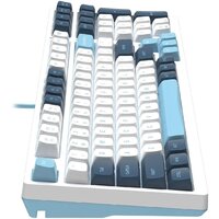 Клавиатура A4Tech Fstyler FS300 Panda Snowboarding - Превью изображения №9 — Интернет-магазин ПроЗаказ