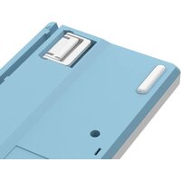 Клавиатура A4Tech Fstyler FS300 Panda Snowboarding - Превью изображения №11 — Интернет-магазин ПроЗаказ