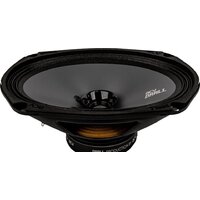 Широкополосная АС ACV DR69 Drall - Превью изображения №3 — Интернет-магазин ПроЗаказ