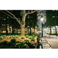 Объектив Nikon Z 35mm f/1.4 - Превью изображения №14 — Интернет-магазин ПроЗаказ